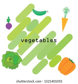 Cabbage, beet, carrot, pepper, cucumber, fresh vegetables. Organic food poster. Farmer market design. Vector background.