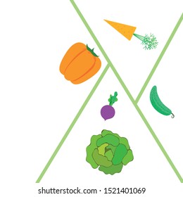 Cabbage, beet, carrot, pepper, cucumber, fresh vegetables. Organic food poster. Farmer market design. Vector background.