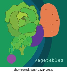 Cabbage, beet, eggplant, potato, broccoli, fresh vegetables. Organic food poster. Farmer market design. Vector background