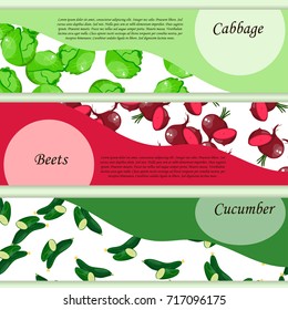 Cabbage, beets and cucumber from the garden. Organic food. Vector illustration. symbol for sauce product label or grocery store, shop and farm market design. Vector square label. Organic collection