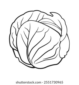 Repollo, estilizado blanco y negro, Ilustración vectorial	