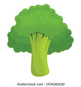 Cabbage broccoli icon. Cartoon of cabbage broccoli vector icon for web design isolated on white background