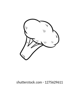cabbage broccoli  icon doodle drawing vector
