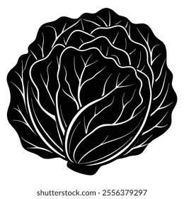 cabbage broccoli  Silhouette vector with white background