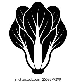 cabbage broccoli  Silhouette vector with white background