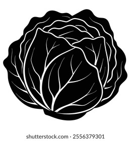 cabbage broccoli  Silhouette vector with white background