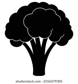 cabbage broccoli  Silhouette vector with white background