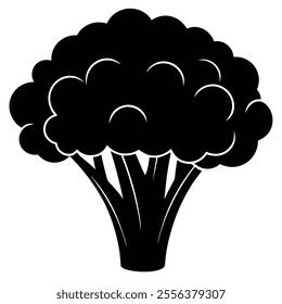 cabbage broccoli  Silhouette vector with white background