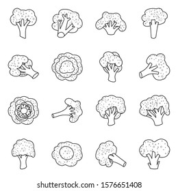 Cabbage broccoli vector line icon. Isolated illustration of vegetables and broccoli. Vector set of icon cabbage.