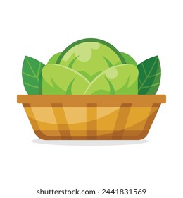 Cabbage in busket Green Leafy Vegetables vector illustration