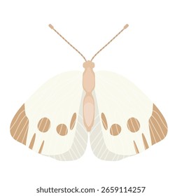 Cabbage butterfly - hand drawn vector illustration.