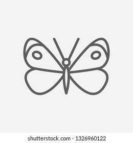 Cabbage butterfly icon line symbol. Isolated vector illustration of  icon sign concept for your web site mobile app logo UI design.