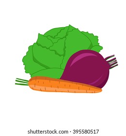 Cabbage, carrot, beet. Vegetables isolated on a white background. Vector illustration.