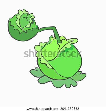 Cabbage. Cartoon cabbage catapult drawn in flat style and isolated on a light background. Plants vs Zombies. Vector illustration 
