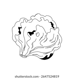 Repolho em estilo cartoon com padrão folhoso liso, contorno preto no branco