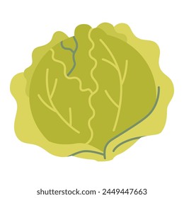 Cabbage, cartoon style. Vector illustration isolated on white background, hand drawn, flat design