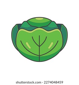 cabbage cartoon vector icon illustration