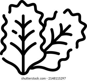 Cabbage and certain types of lettuce may look alike