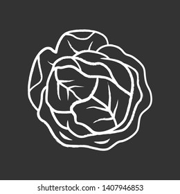 Cabbage chalk icon. Vegetable. Agriculture plant. Salad ingredient. Vitamin. Diet and nutrition. Organic food. Vegetarian and vegan diet. Vegetable farm. Isolated vector chalkboard illustration