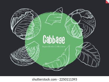 Cabbage, Chalk sketches, Ingredient Collection