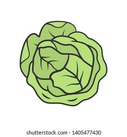 Cabbage color icon. Agriculture plant. Salad ingredient. Greenery. Vitamin. Nutrition. Organic food. Healthy food. Vegetarian and vegan diet. Vegetable farm. Isolated vector illustration