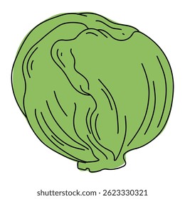 Cabbage color line art illustration.