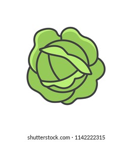 Cabbage colored line icon.