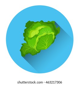 Icono vegetal colorido de col Ilustración vectorial plana