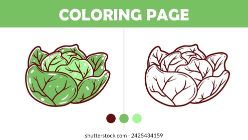 Cabbage coloring page for kids vector illustration