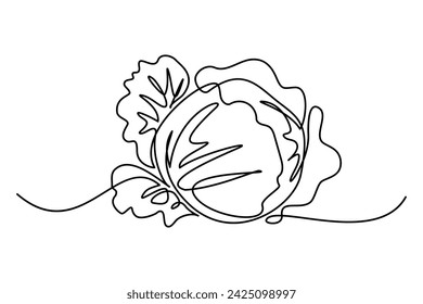 Cabbage in continuous line art drawing style. Black linear sketch isolated on white background. Vector illustration