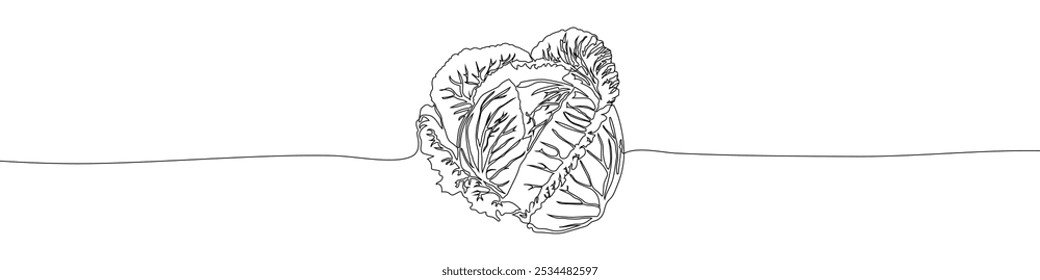 Repolho contínuo uma linha desenhando ilustração vetorial. Verão orgânico vegetal natural sinal vetor ilustração