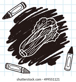 Cabbage doodle