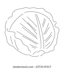 Cabbage doodle icon. Hand drawn black sketch. Vector editable stroke.