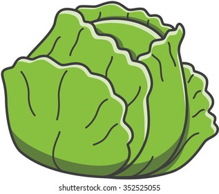 Cabbage doodle illustration