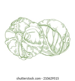 cabbage draw