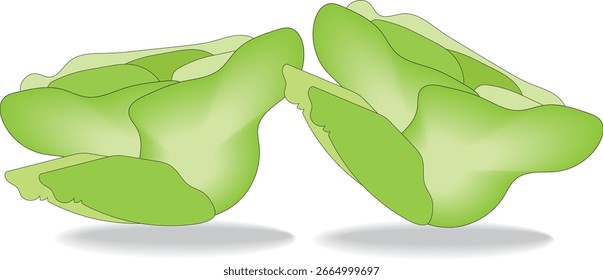 Dibujo de repollo eps-10 para negocios