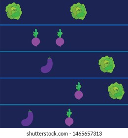 Cabbage, eggplant, beets, fresh vegetables. Organic food poster. Farmer market design. Vector background.