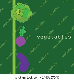 Cabbage, eggplant, beets, fresh vegetables. Organic food poster. Farmer market design. Vector background.