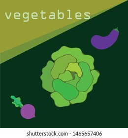 Cabbage, eggplant, beets, fresh vegetables. Organic food poster. Farmer market design. Vector background.