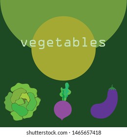 Cabbage, eggplant, beets, fresh vegetables. Organic food poster. Farmer market design. Vector background.