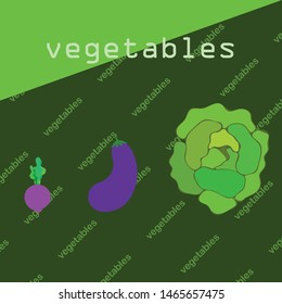 Cabbage, eggplant, beets, fresh vegetables. Organic food poster. Farmer market design. Vector background.