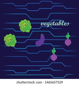 Cabbage, eggplant, beets, fresh vegetables. Organic food poster. Farmer market design. Vector background.