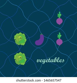 Cabbage, eggplant, beets, fresh vegetables. Organic food poster. Farmer market design. Vector background.
