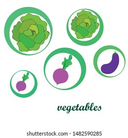 Cabbage, eggplant, beets, fresh vegetables. Organic food poster. Farmer market design. Vector background.