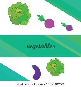 Cabbage, eggplant, beets, fresh vegetables. Organic food poster. Farmer market design. Vector background.