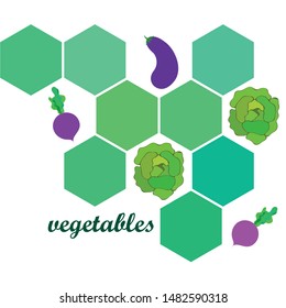 Cabbage, eggplant, beets, fresh vegetables. Organic food poster. Farmer market design. Vector background.