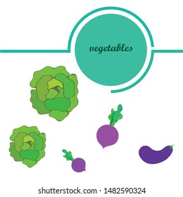 Cabbage, eggplant, beets, fresh vegetables. Organic food poster. Farmer market design. Vector background.