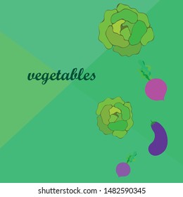 Cabbage, eggplant, beets, fresh vegetables. Organic food poster. Farmer market design. Vector background.