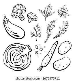 Cabbage, eggplant, broccoli, carrot, potatoes, herbs. Black line sketch collection of vegetables and herbs isolated on white background. Doodle hand drawn vegetable icons. Vector illustration