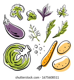 Cabbage, eggplant, broccoli, carrot, potatoes, herbs. Colorful sketch collection of vegetables and herbs isolated on white background. Doodle hand drawn vegetable icons. Vector illustration